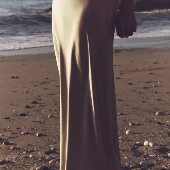 Zara Bias Cut Satin Maxi Skirt Silvery Tan NWT Size Medium - Picture 3 of 13